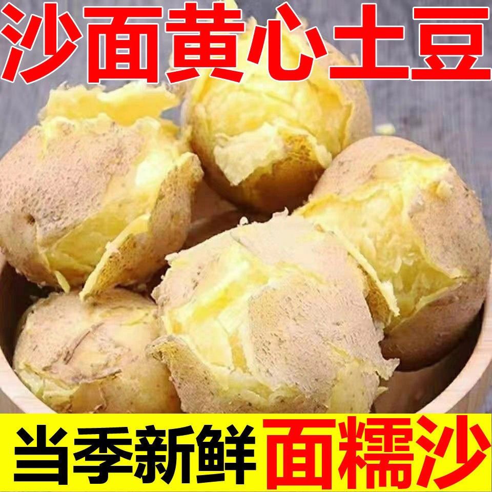 2026定西土豆甘肃沙面蔬菜马铃薯洋芋黄皮黄心新鲜整箱批发