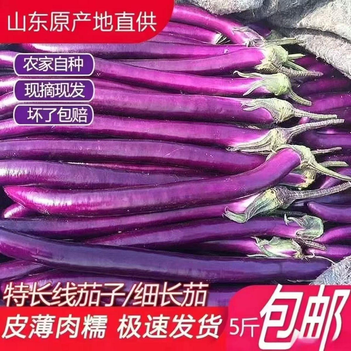 山东优选新鲜长茄子细长紫皮长条蔬菜红线现摘自种批发农家整箱