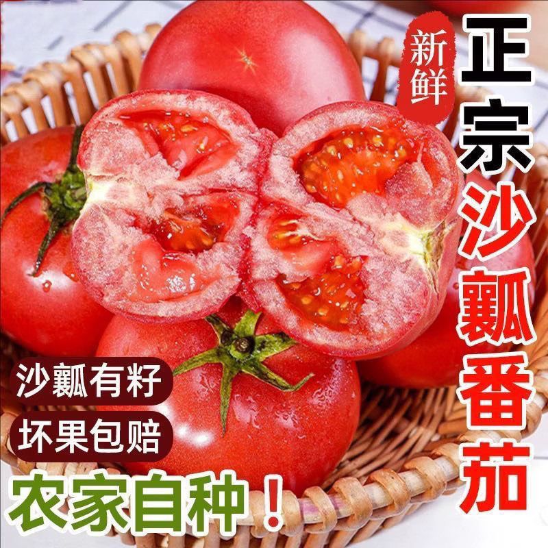 彩箱【欣飞果源】云南沙瓤番茄生吃西红柿农家新鲜蔬菜净重4斤