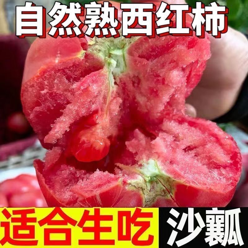 坏果包赔丨云南沙瓤西红柿多规格可选老品种番茄新鲜现采产地直发