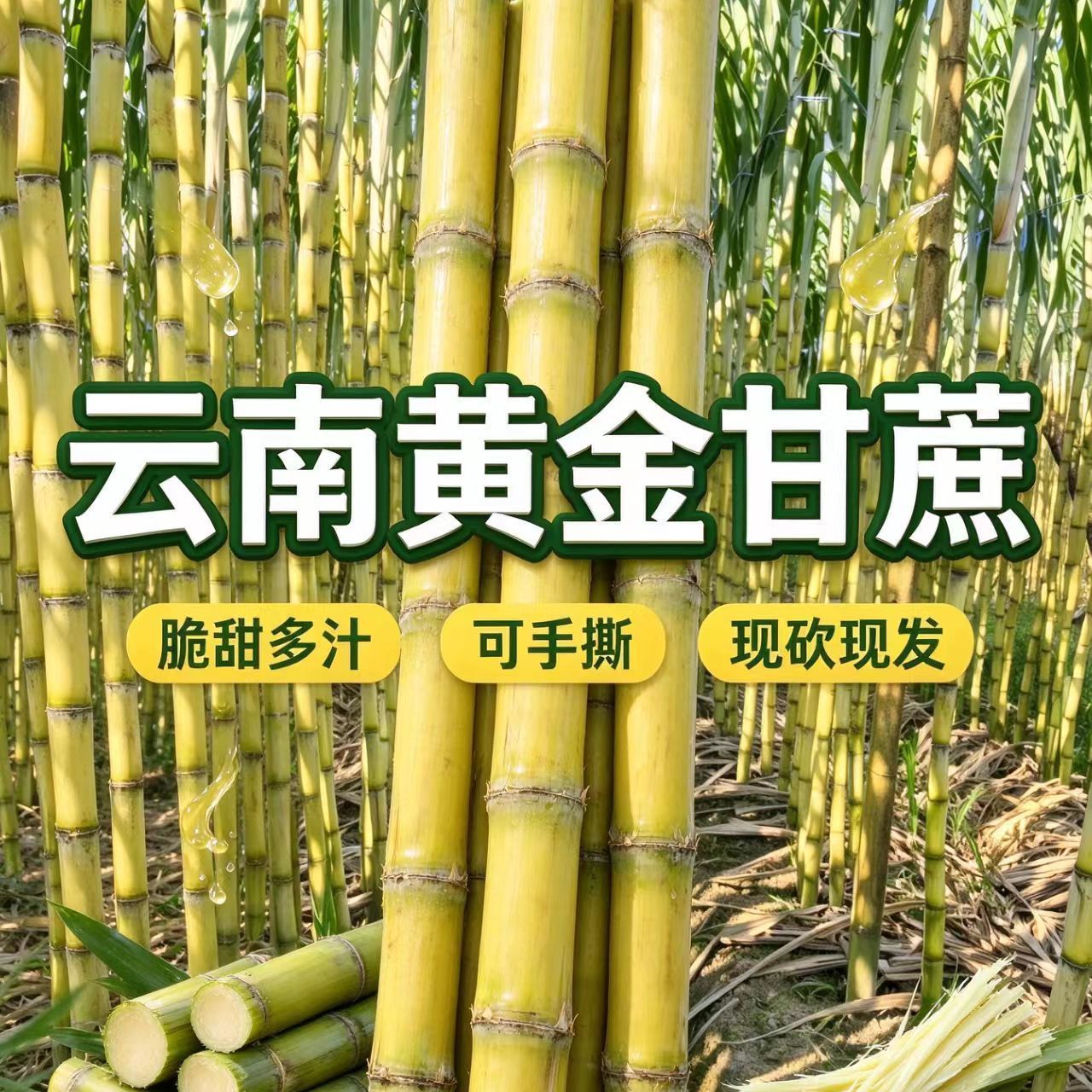【彩箱】9斤正宗云南黄金甘蔗手撕甘蔗脆甜多汁应季水果清甜多汁