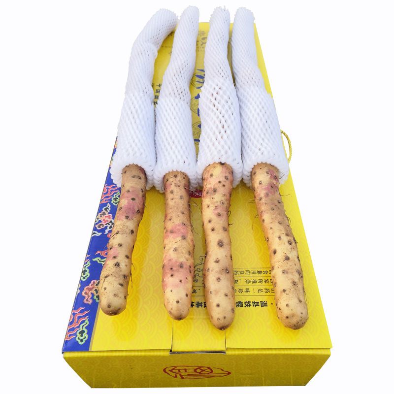 礼盒正宗河南焦作温县垆土铁棍淮山药铁杆新鲜怀山药手指4.5斤