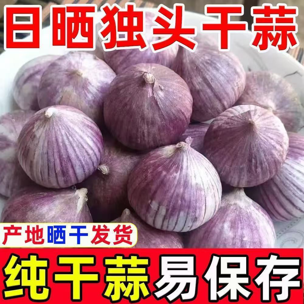 新干蒜 正宗紫皮独头蒜农家现挖圆头大蒜独头紫皮独头蒜批发
