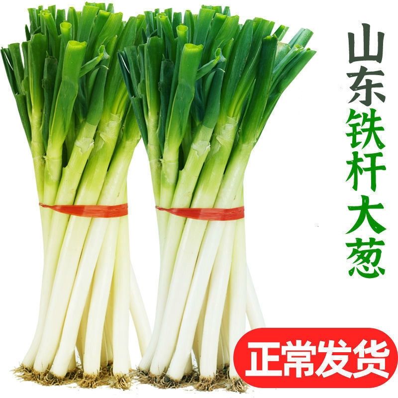 【精品去皮】正宗山东大葱特级铁杆大葱鲜甜脆口生吃蘸酱