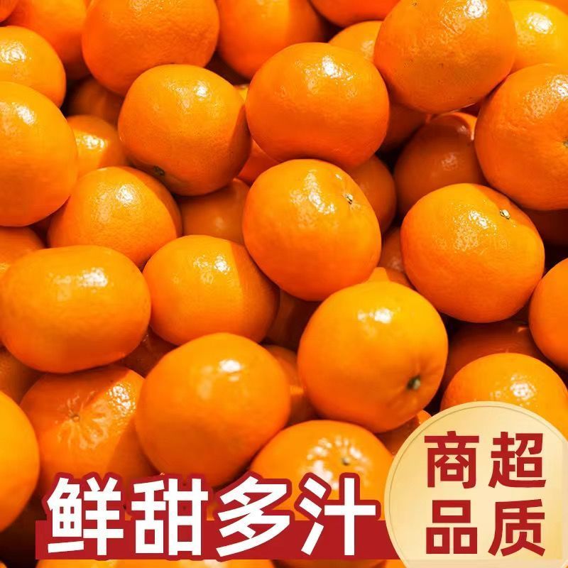 新鲜雪杉小蜜橘爆汁蜜桔当季新鲜水果黄皮蜜桔橘子整箱【30天内发货】