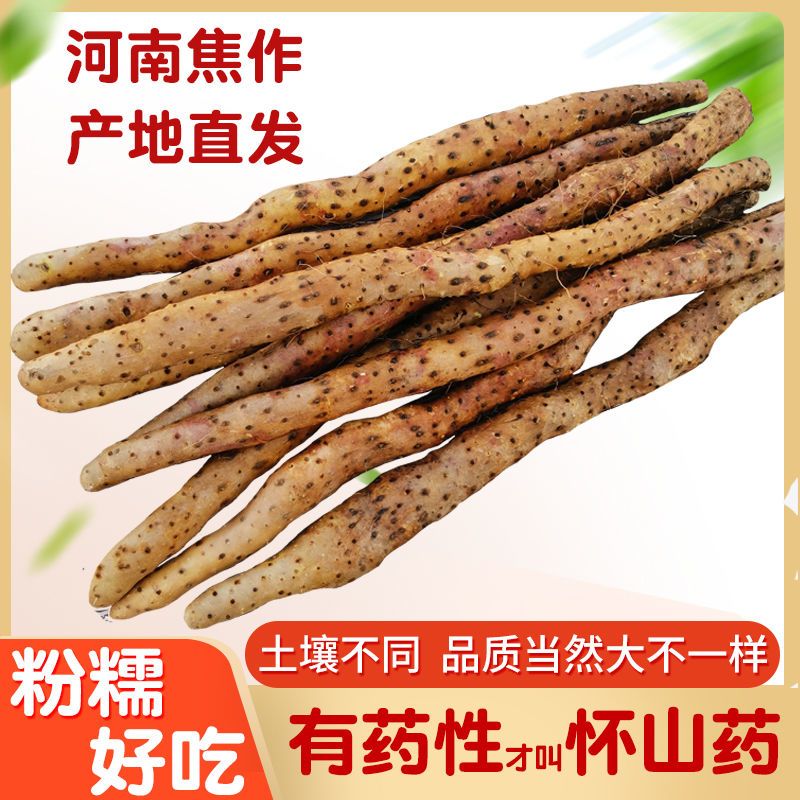 铁棍山药河南焦作温县正宗垆土山药新鲜山约武陟怀山药蔬菜淮山药