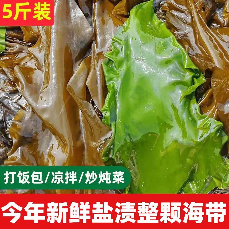 【今年新货】新鲜盐渍整颗海带包饭海带头边丝火锅麻辣烫食材批发