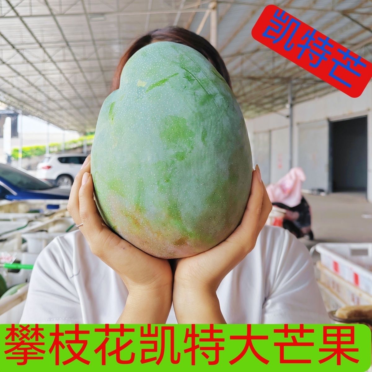 四川攀枝花凯特芒果新鲜水果整箱水果现摘青皮芒果当季新鲜水果