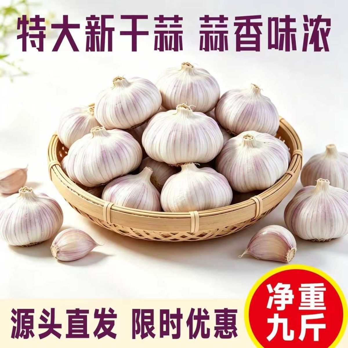 【十足干净重9斤新大蒜】大蒜头特大果新干蒜批发农家白皮大蒜头