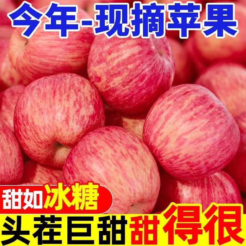 【彩箱】正宗山西红富士苹果新鲜水果冰糖心丑苹果脆甜一整箱批发