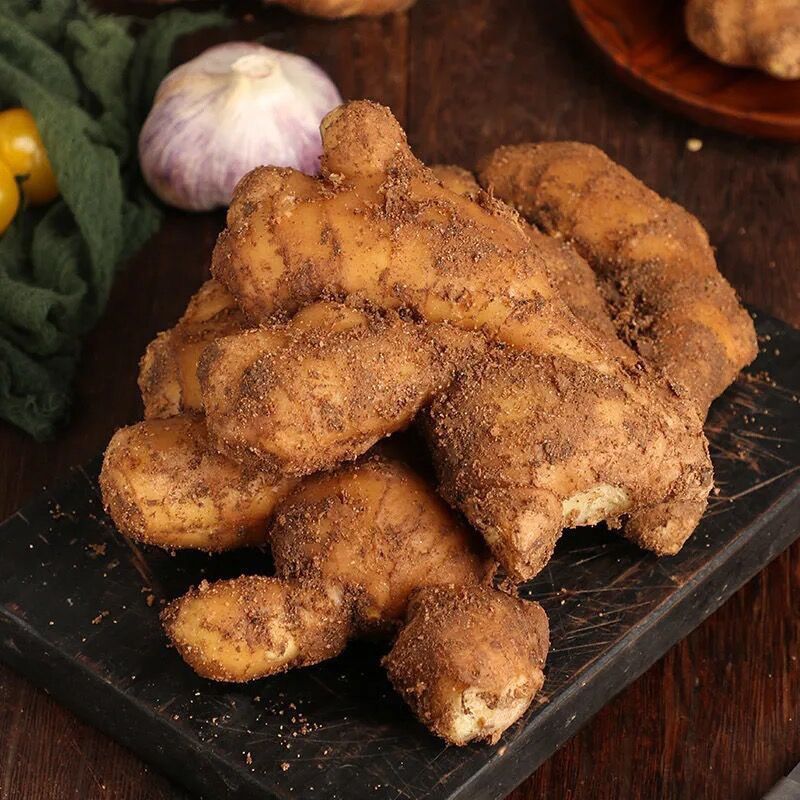 山东窖藏大黄姜新鲜生姜新姜月子姜包邮当季农家现挖大肉