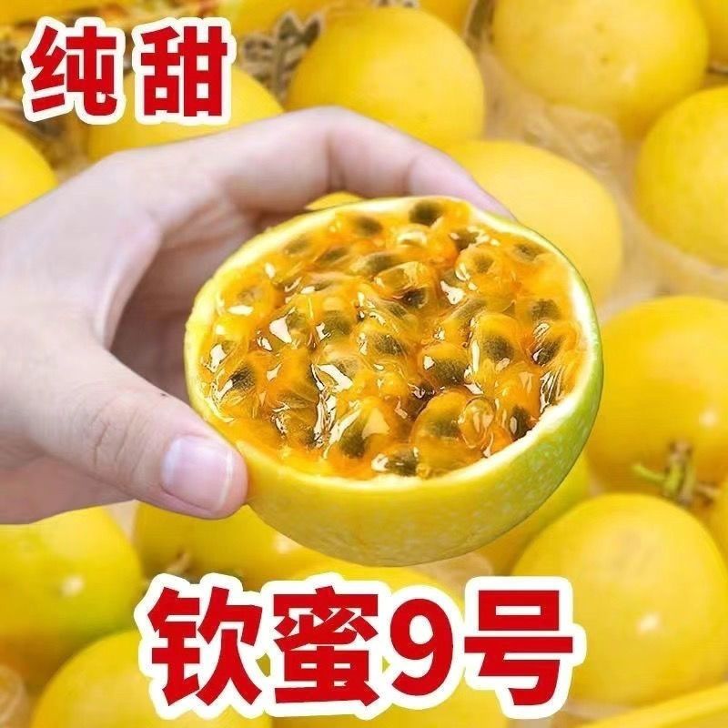 【整箱20个】正宗广西钦蜜九号黄金百香果新鲜孕妇应季水果整箱批