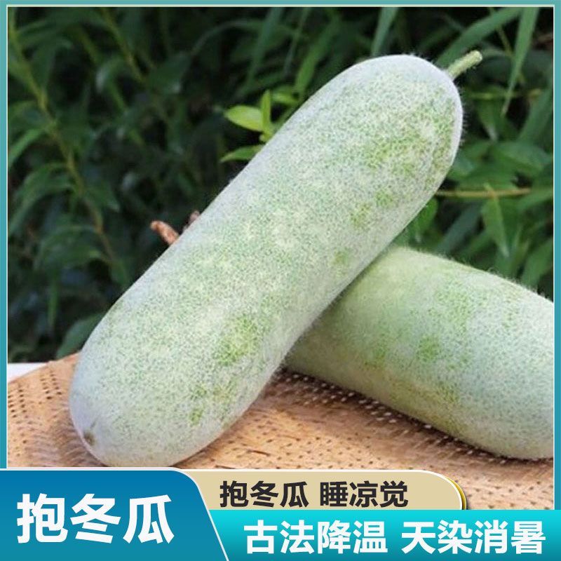 【抱着睡】农家自种长条土冬瓜老冬瓜大小冬瓜长条冬瓜霜冬瓜冬瓜