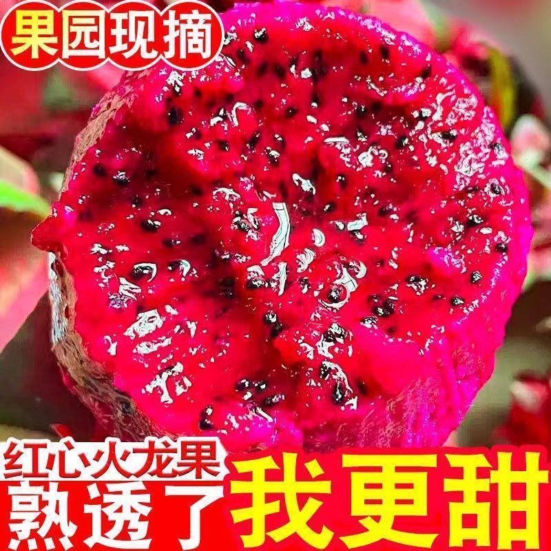 5斤金都一号红心火龙果红心火龙果爆甜多汁新鲜当季水果红肉超甜