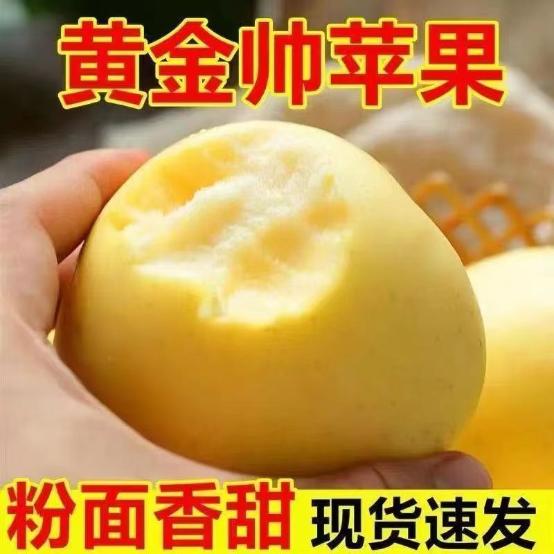 (3斤皮薄)黄金帅苹果新鲜黄元帅苹果山东黄苹果奶油香甜一箱批发
