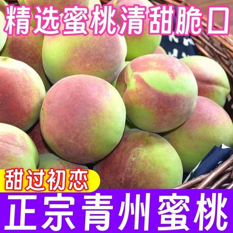 正宗青州蜜桃桃子新鲜脆桃硬桃脆甜毛桃青皮桃子离核非水蜜桃