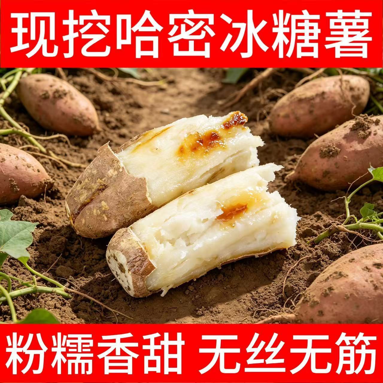 正宗哈密红薯新鲜冰糖现挖孕妇白雪公主糖心糯甜哈密白薯地瓜蜜薯