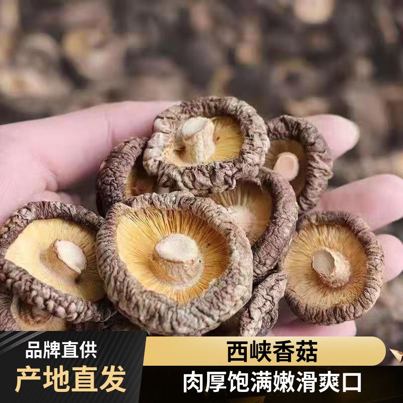 豫菇丰西峡香菇干货批发新货无干燥剂肉厚商用新鲜大香菇散装
