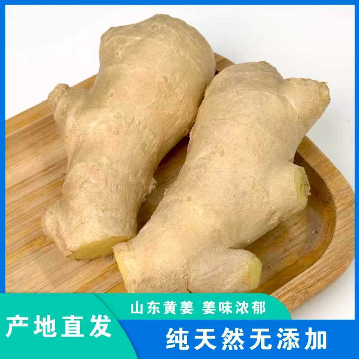 老农强推】山东黄姜水洗晒干生姜大姜块月子姜批发带箱