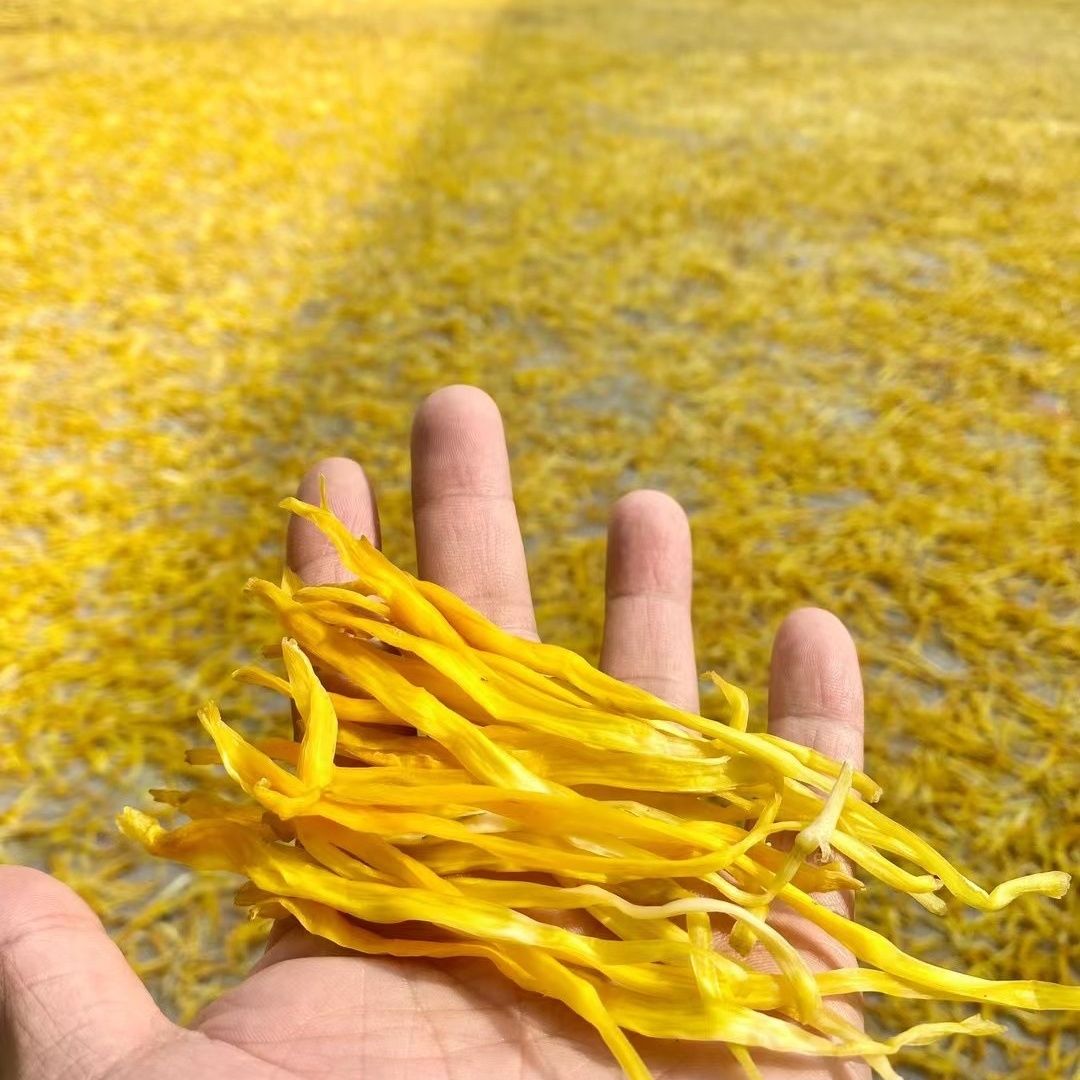 【净重无干燥剂】2026特级黄花菜干货新鲜湖南农家晒干正宗凉拌菜