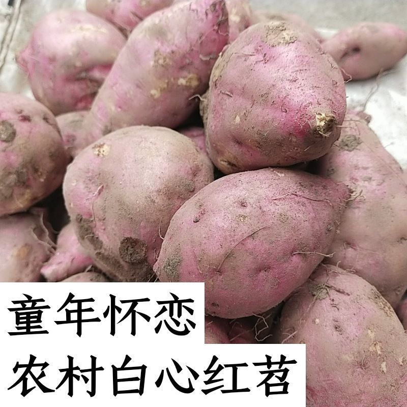70年代重庆农村老式红薯淀粉新鲜蔬菜红皮白心板栗薯红苕1/3/5斤