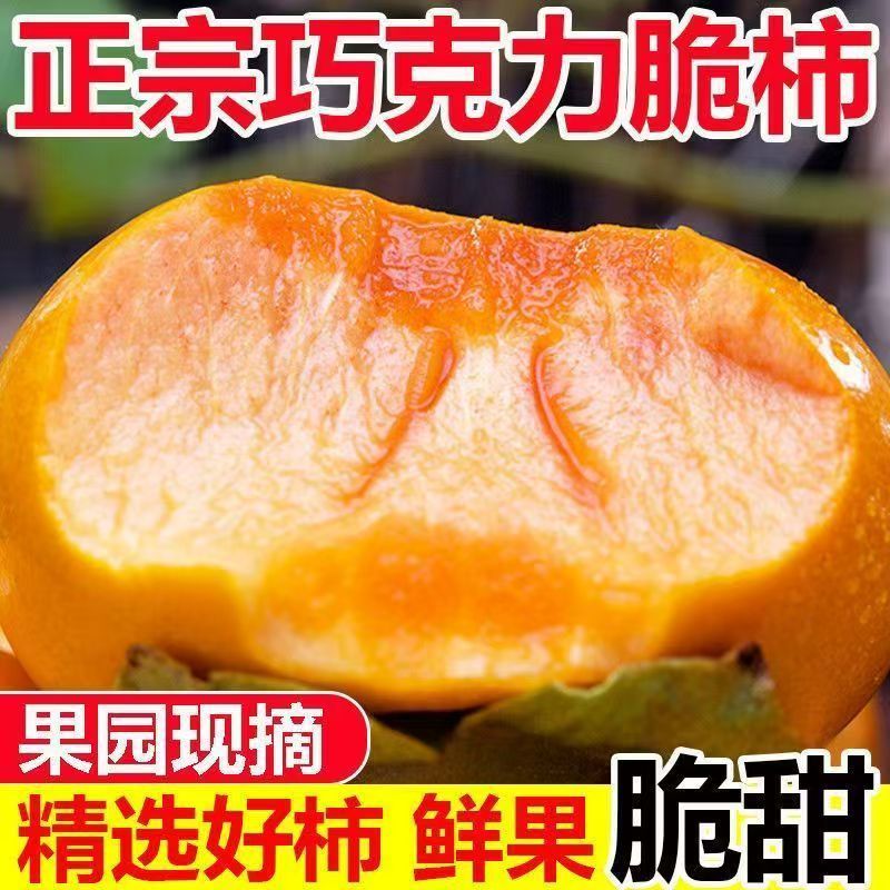彩箱】阳丰脆柿巧克力脆柿应季柿子当季新鲜冰糖整箱无核脆甜