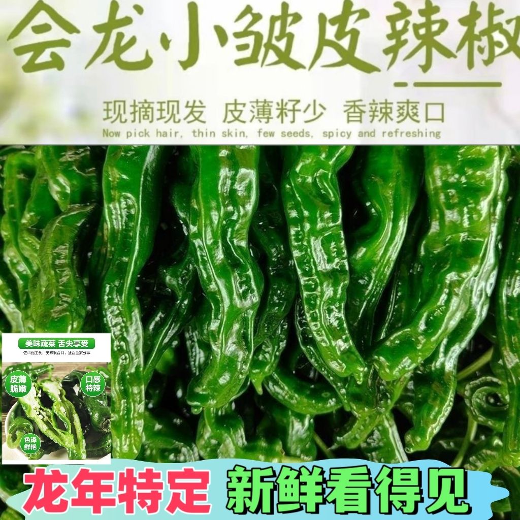 当季蔬菜新鲜采摘特辣薄皮青椒小邹皮辣椒特辣爆辣青椒