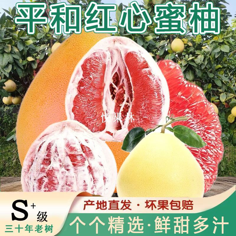 现货福建平和蜜柚红心柚柚子9斤装孕妇水果彩箱高端礼盒大果批发