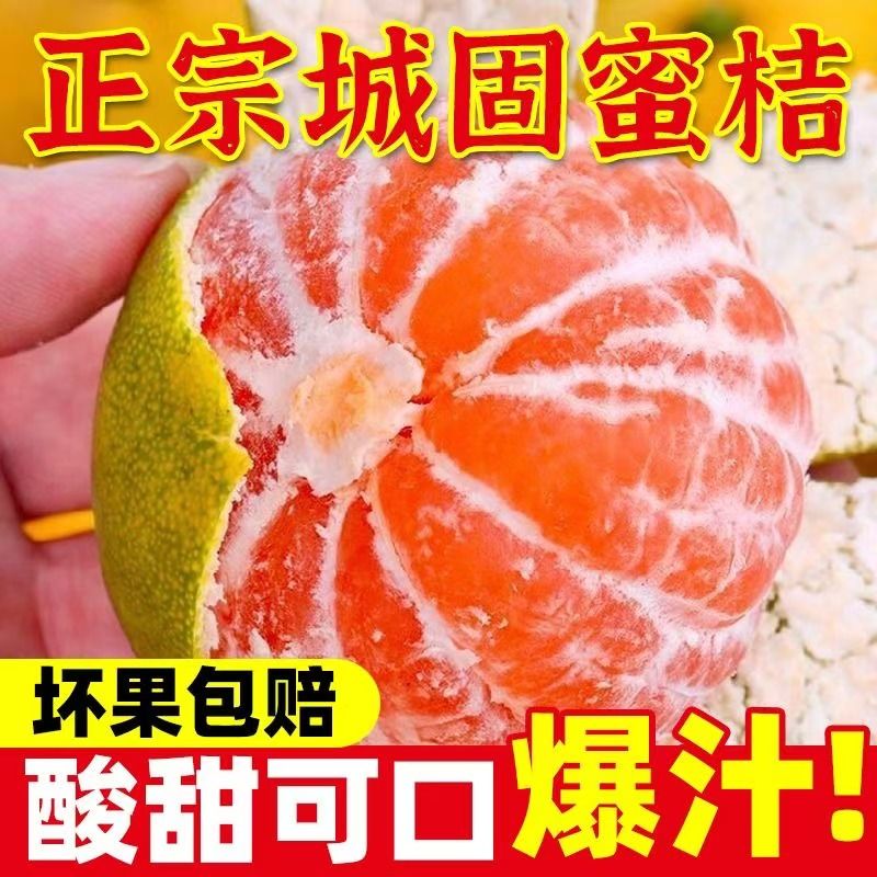 城固蜜桔桔子新鲜水果无籽孕妇整箱蜜橘时令无核当天采摘产地直发