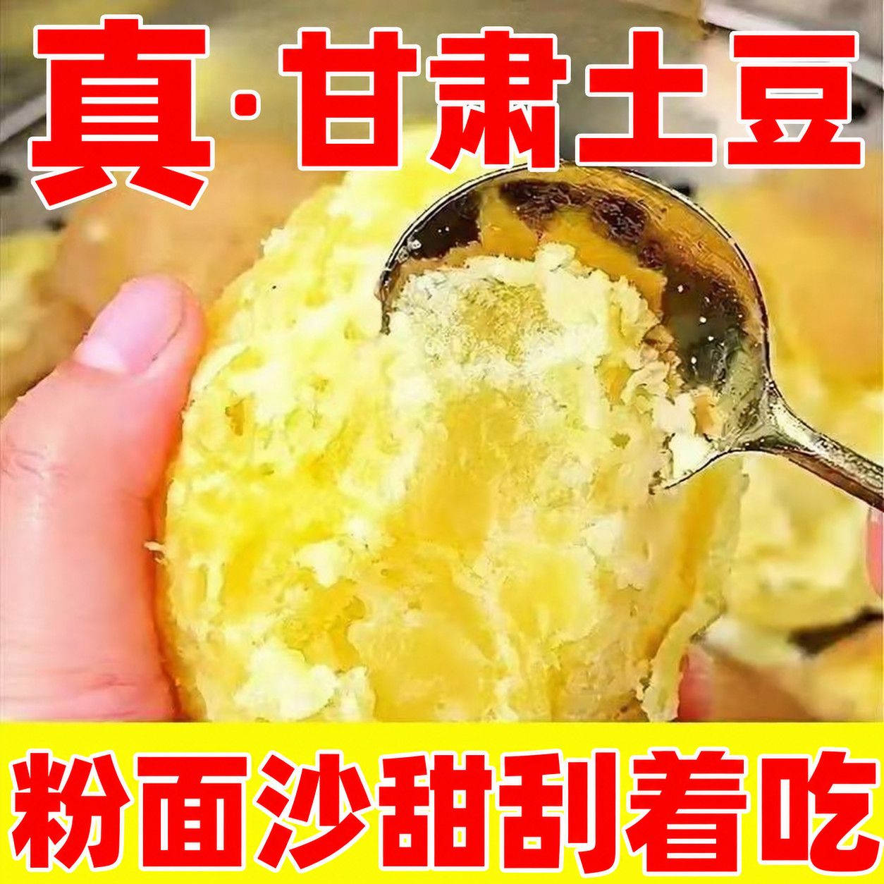 【特沙面】甘肃定西土豆沙面蔬菜马铃薯洋芋黄皮黄心新鲜整箱批发