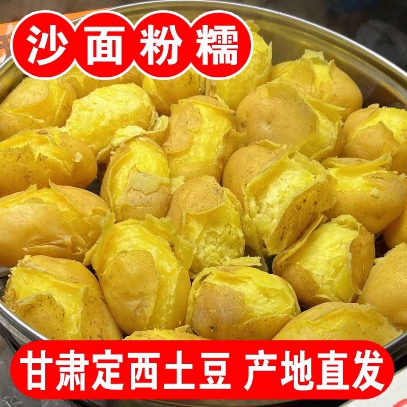 2026现挖正宗定西土豆甘肃沙面蔬菜马铃薯洋芋黄皮黄心新鲜批发
