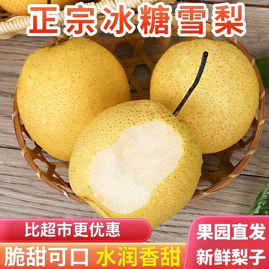 河北雪花梨正宗雪梨新鲜冰糖雪梨批发水果梨当季水果新鲜水果梨子