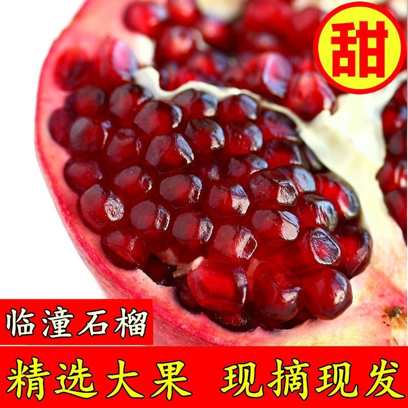 正宗临潼老树老品种石榴新鲜当季孕妇水果甜石榴非软籽5/9斤薄皮