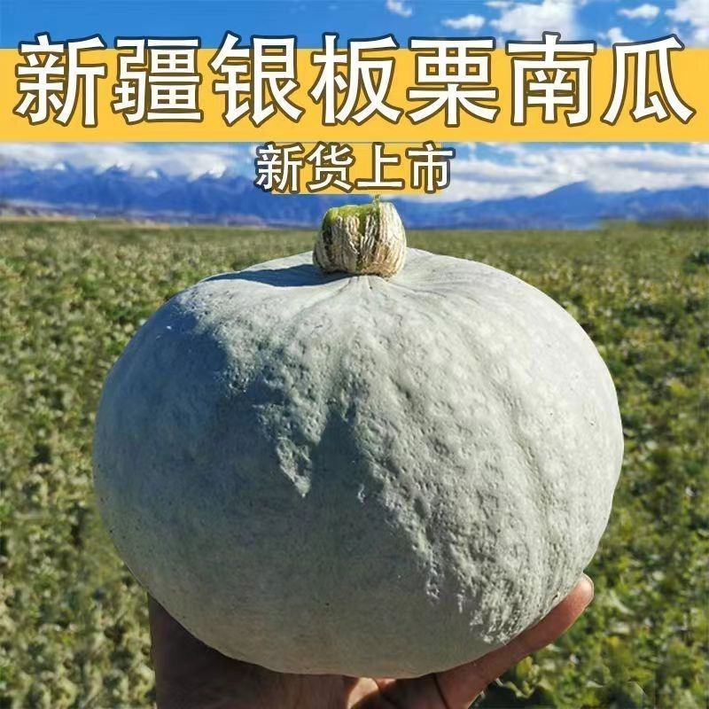 安耀 新疆银板栗南瓜粉糯香板栗味银栗老南瓜面窝瓜减脂易消化