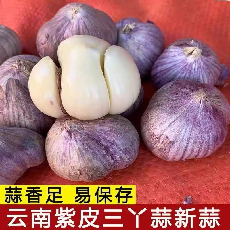 5斤十成干蒜】狠划算 两丫三丫蒜瓣蒜干蒜新鲜云南紫白皮大蒜批发