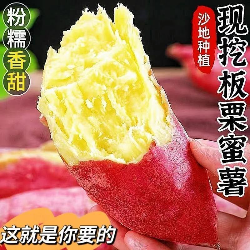 2026现挖板栗薯当季新鲜番薯山西秦薯5号红薯应季香薯3/5斤