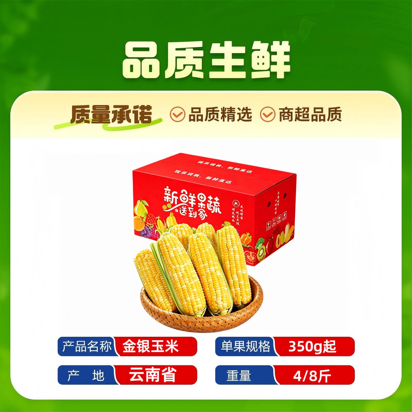 云南金银水果玉米净重4/8斤双色玉米彩箱新鲜水果包谷甜嫩脆玉米