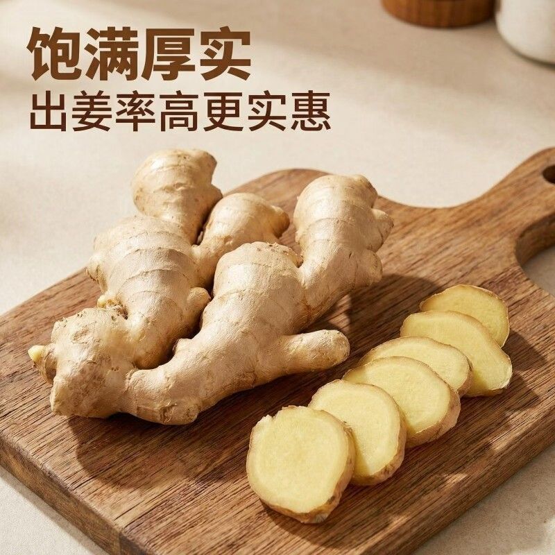 【甩卖】山东大姜风干姜块单指无泥生姜老姜月子整箱黄姜新姜批发