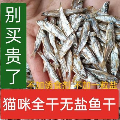 猫零食小鱼干淡水无盐鱼干猫咪零食批发营养丰富补钙宠物零食猫粮