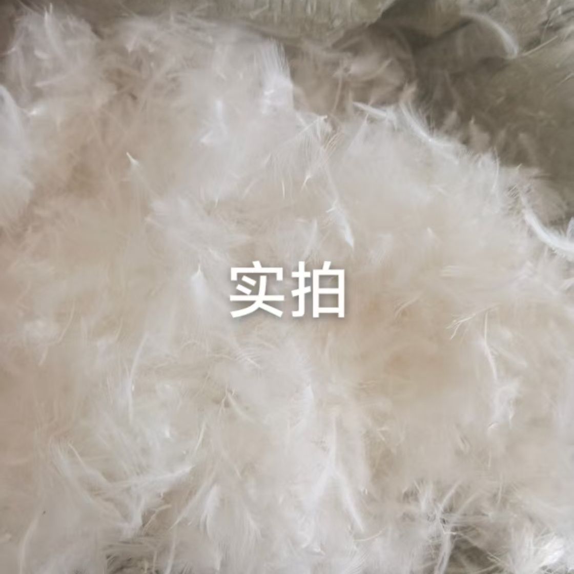 散装免洗一斤白鸭羽绒被子枕头填充物羽绒抱枕羽绒沙发垫填充物