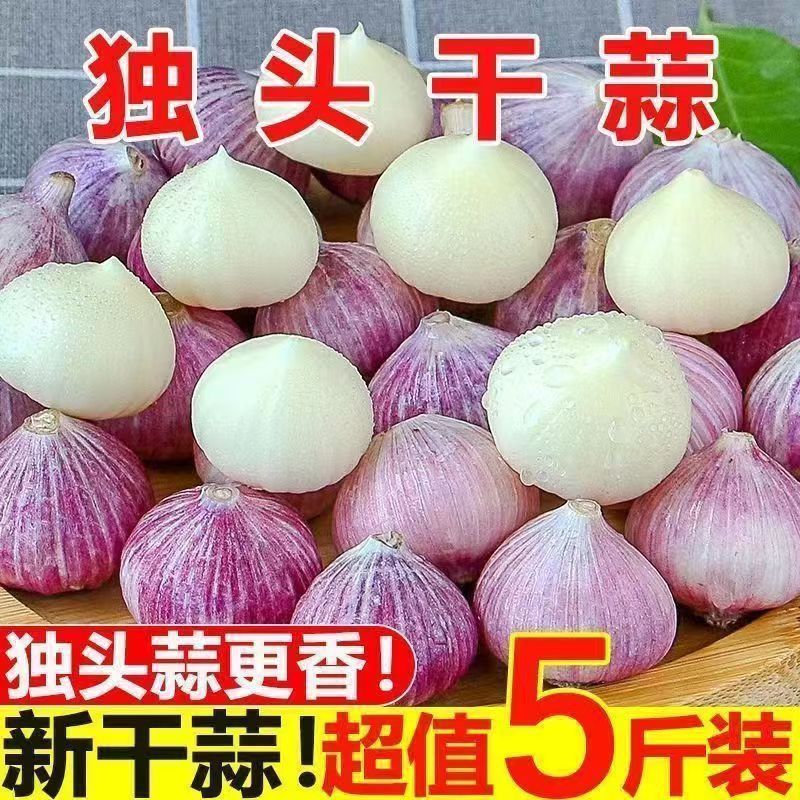 新干蒜 2026年正宗紫皮独头蒜鲜蒜当季红皮独蒜新大蒜批发蔬菜
