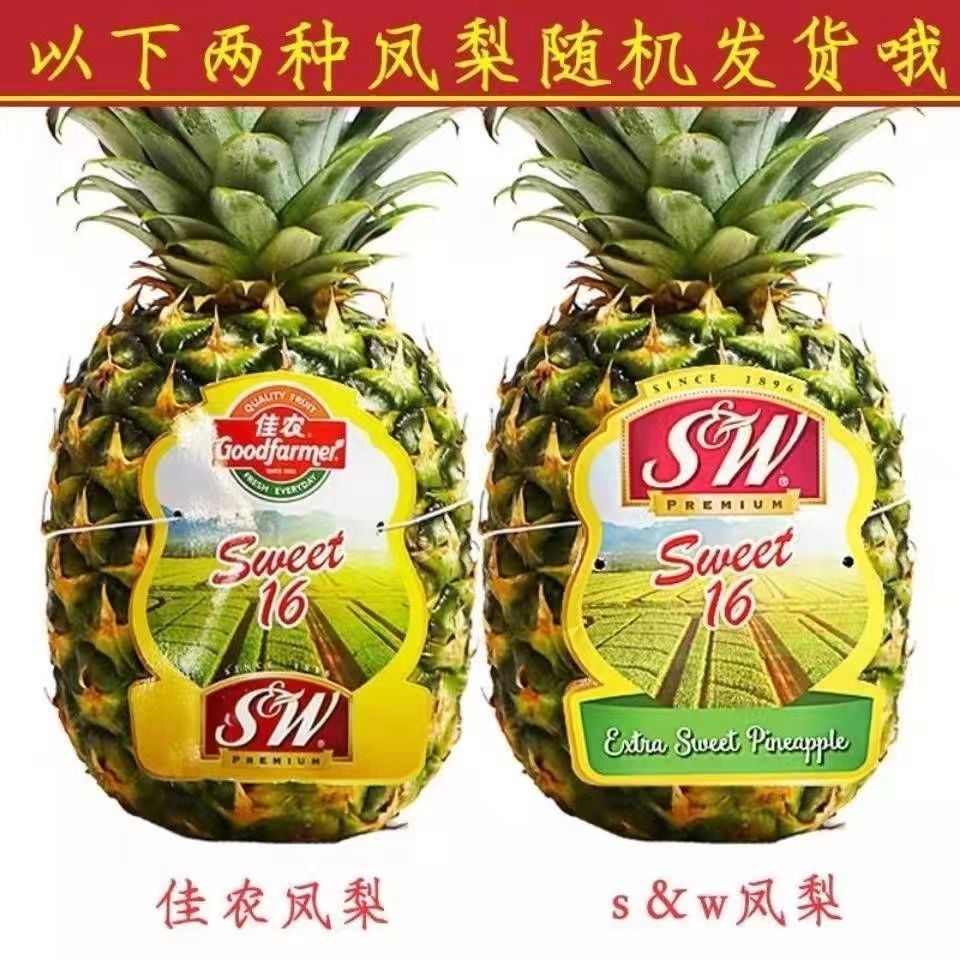 菲律宾佳农进口凤梨大果SW菠萝削皮无眼新鲜即食水果无眼金包邮