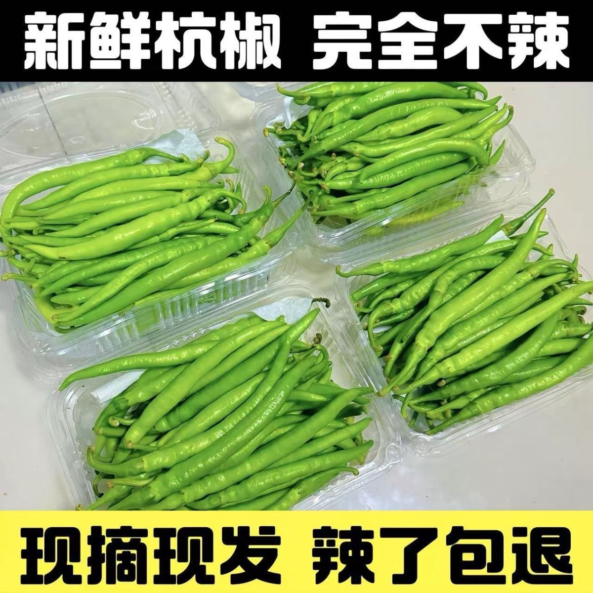 农家甜椒正宗杭椒不辣薄皮椒新鲜现摘四季鲜线椒可蘸酱生吃杭椒