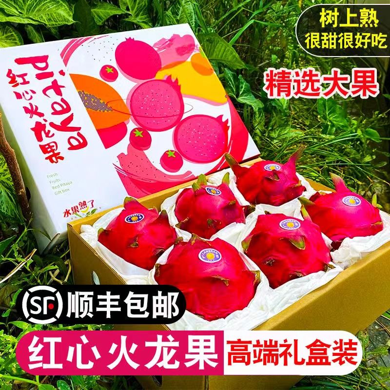 礼盒装顺丰包邮红心火龙果大果正宗金都一号节日高档水果孕妇新鲜