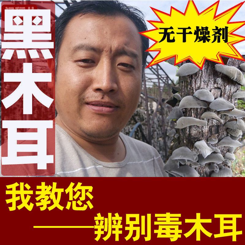 门稻东北特产木耳干货仿野生黑木耳大朵软糯秋耳肉厚批发250g无根