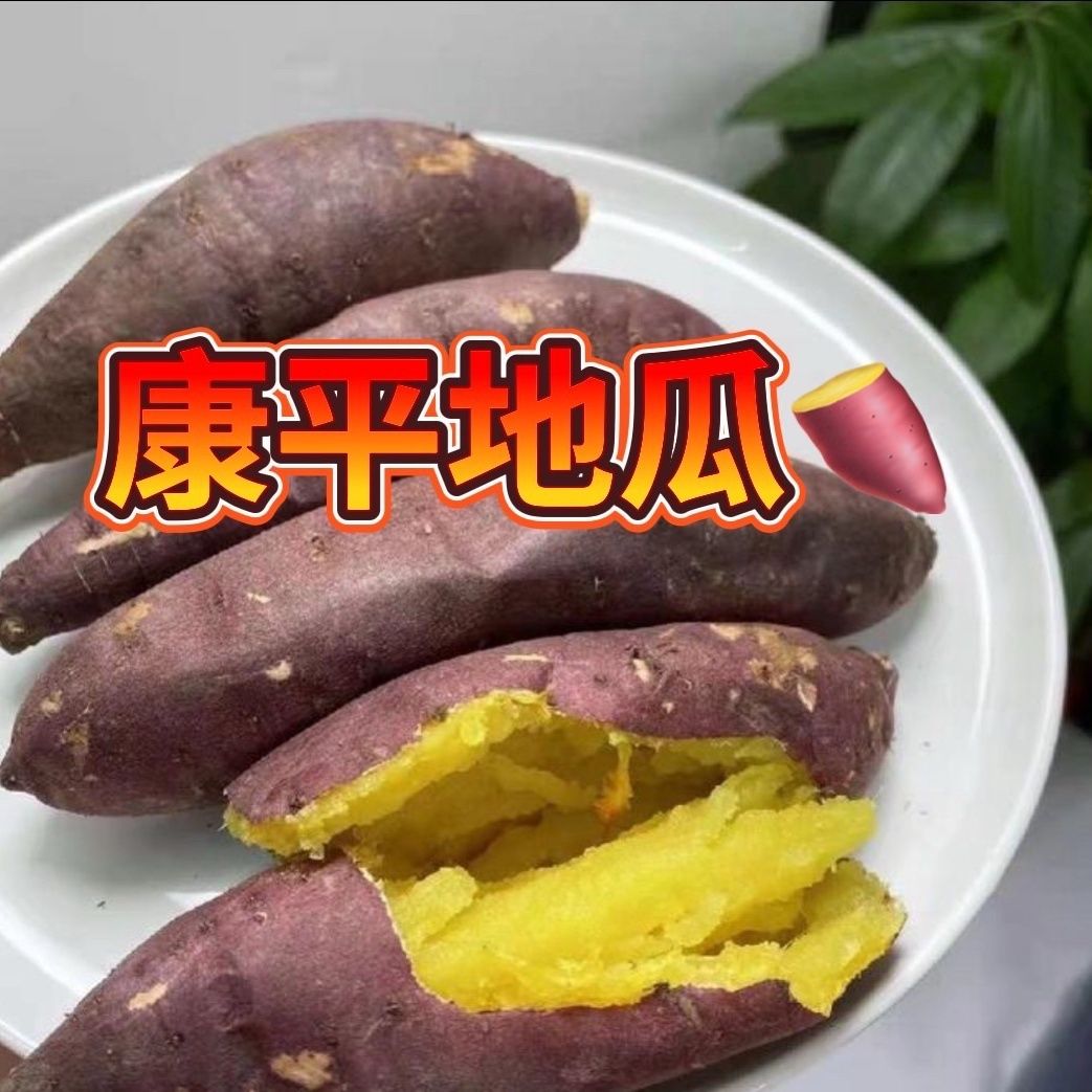 康平红毛地瓜纯沙地红薯玛莎莉黄金薯产地直发农家正宗