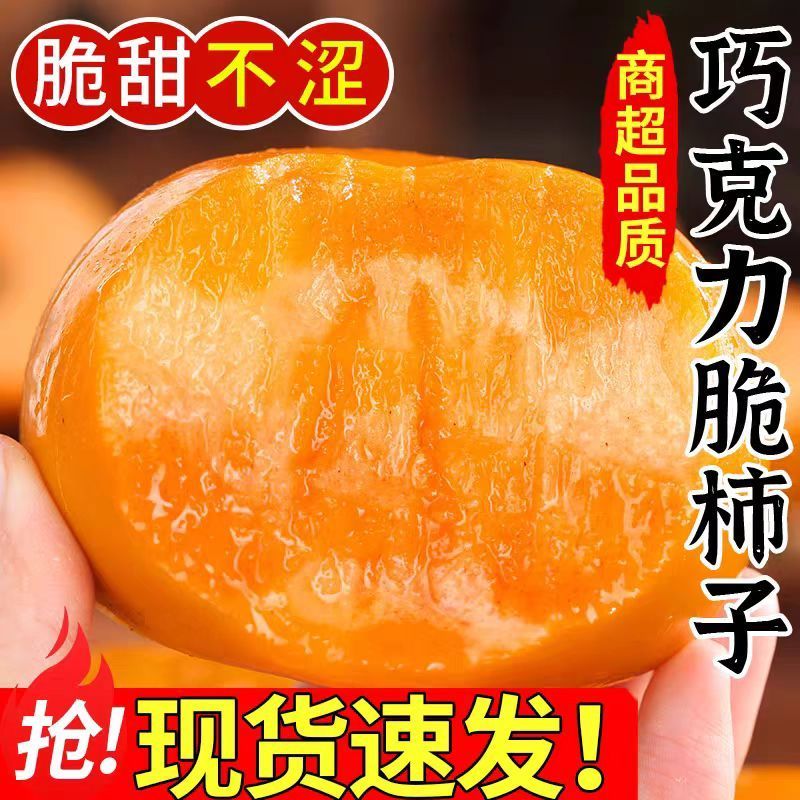 【现摘现发】2026正宗巧克力脆柿糖心无涩脆甜硬柿子新鲜现摘速发