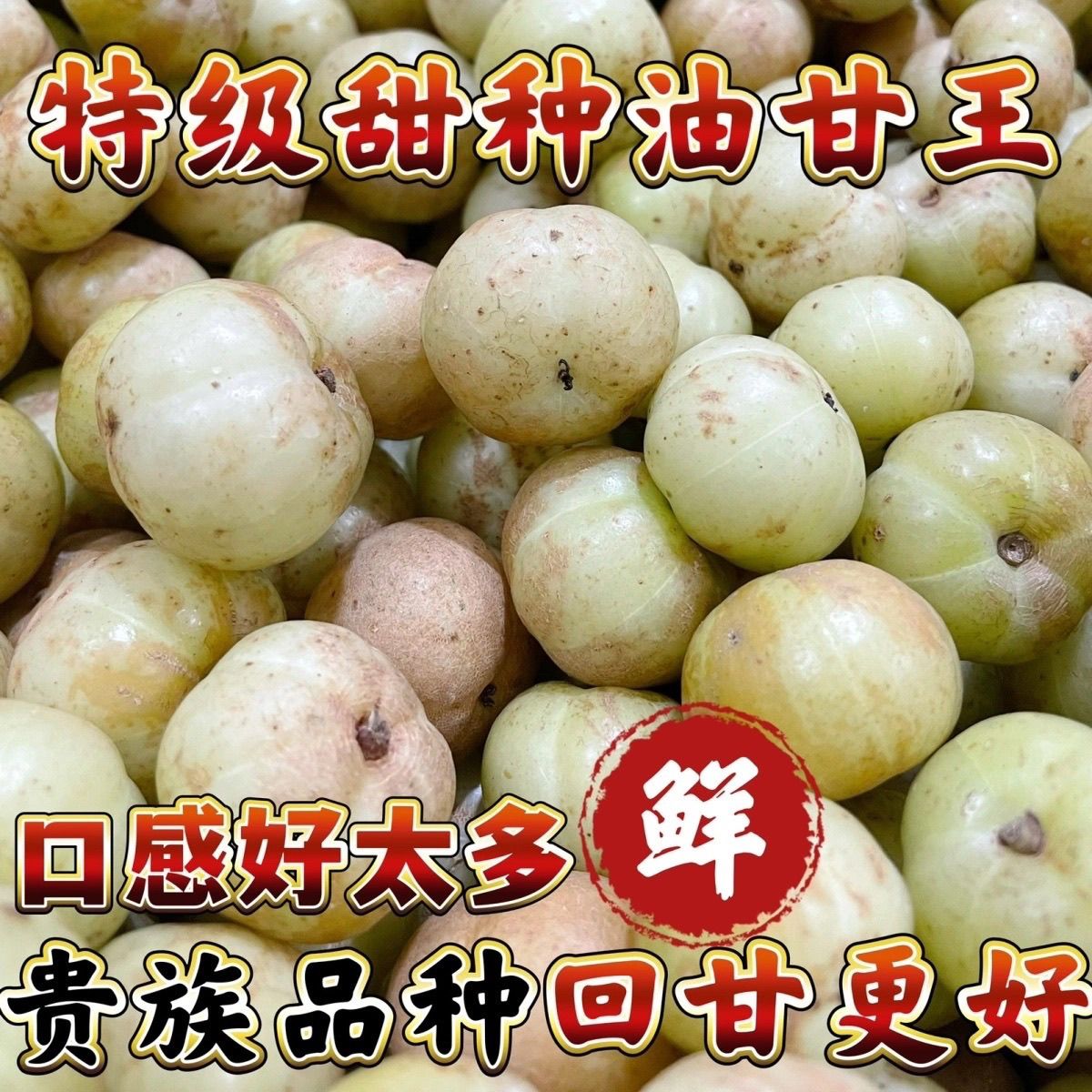 正宗潮汕柿饼甜油甘新鲜油柑果余甘鲜果子孕妇水果滇橄榄甜油甘果