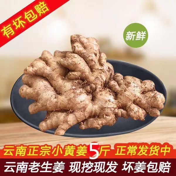 云南生姜农家自种小黄姜生姜批发老姜小黄姜调料正宗云南小黄姜