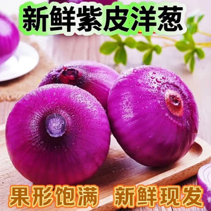 宁夏紫皮洋葱 新鲜当季蔬菜洋葱农家自种炒菜凉拌都好吃